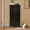 Charlie 3 Door Shoe Cabinet - Noir Black
