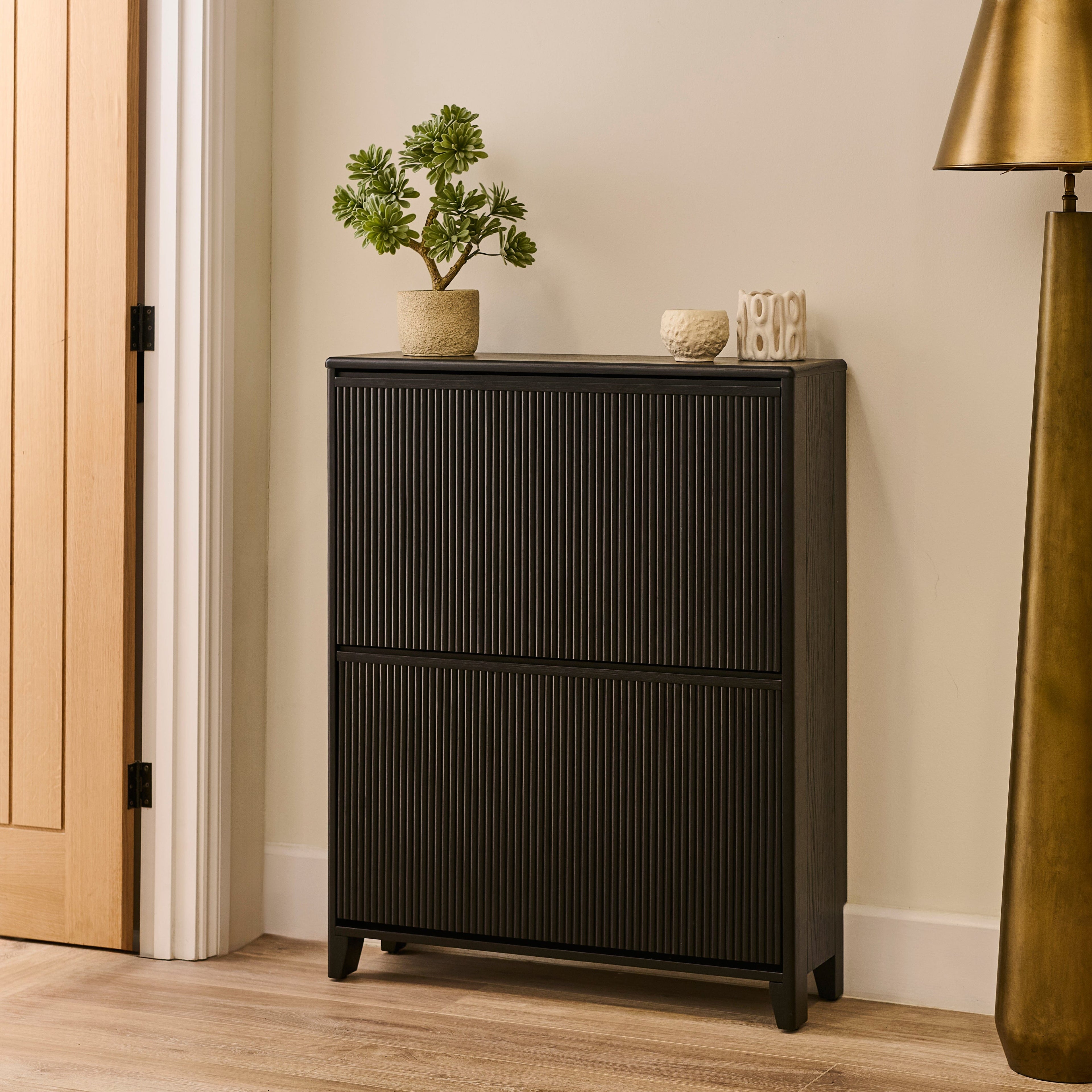 Raleigh 2 Door Shoe Cabinet - Black