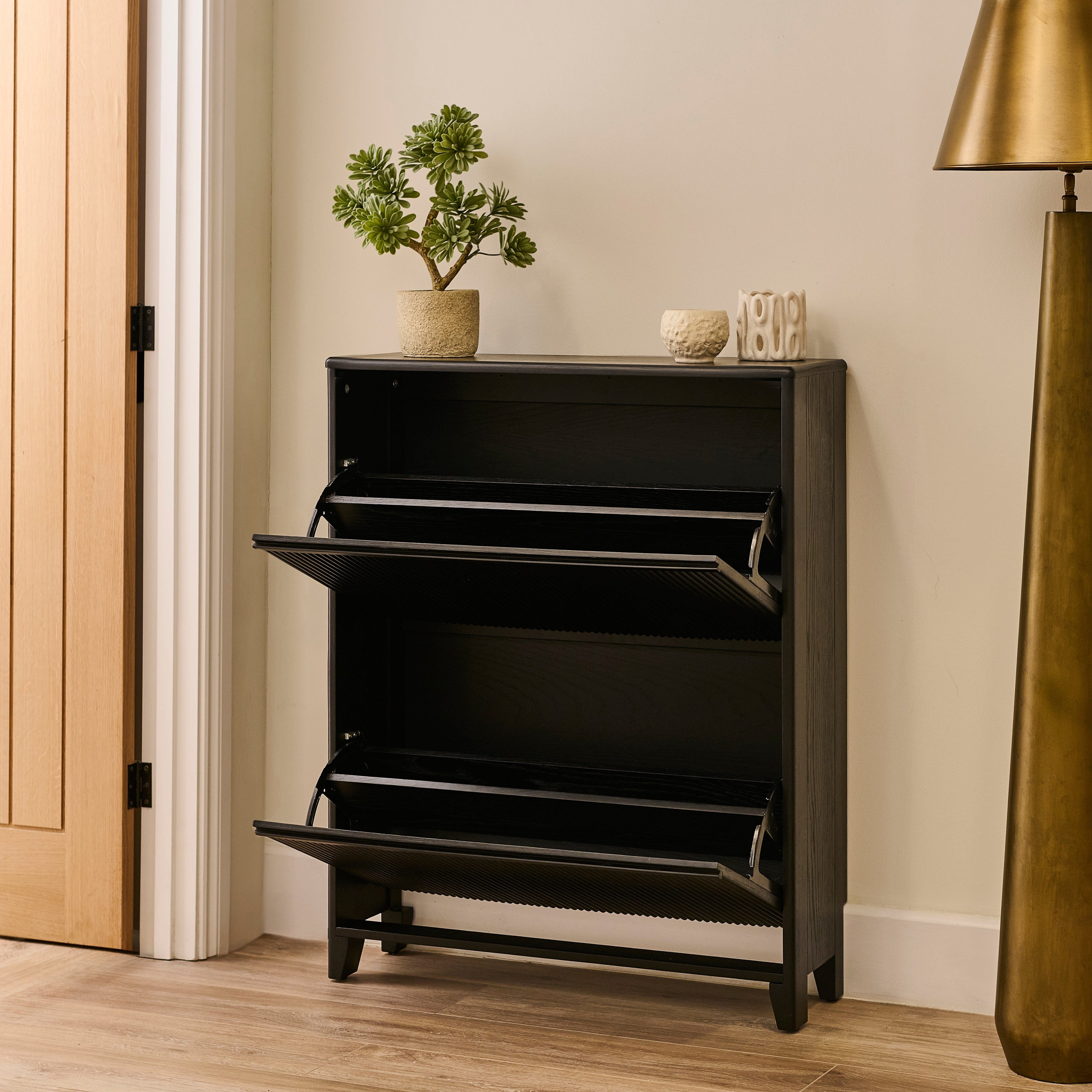 Raleigh 2 Door Shoe Cabinet - Black