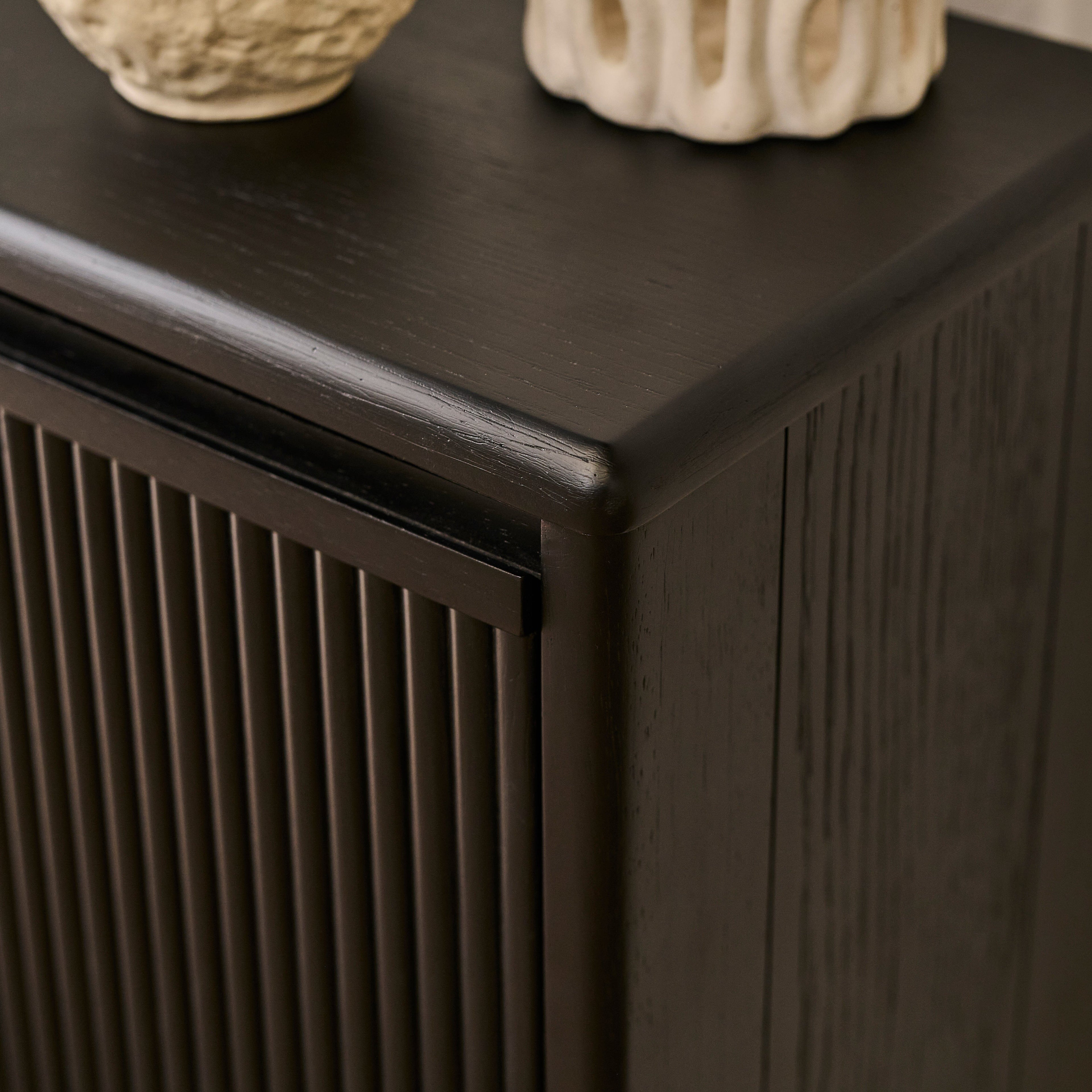Raleigh 2 Door Shoe Cabinet - Black