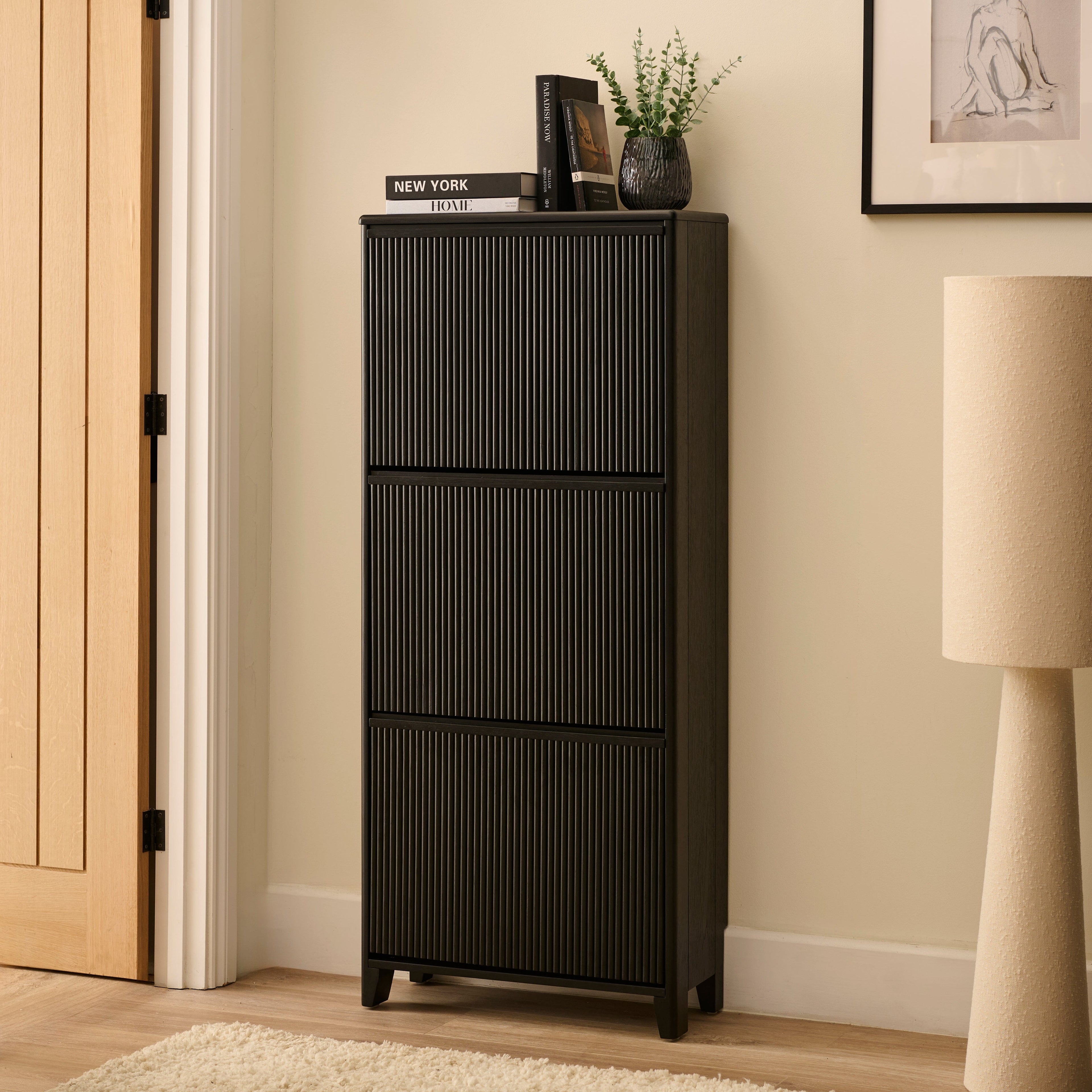 Raleigh 3 Door Shoe Cabinet - Black