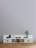Rochester gallery shelves