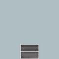 Shelf unit